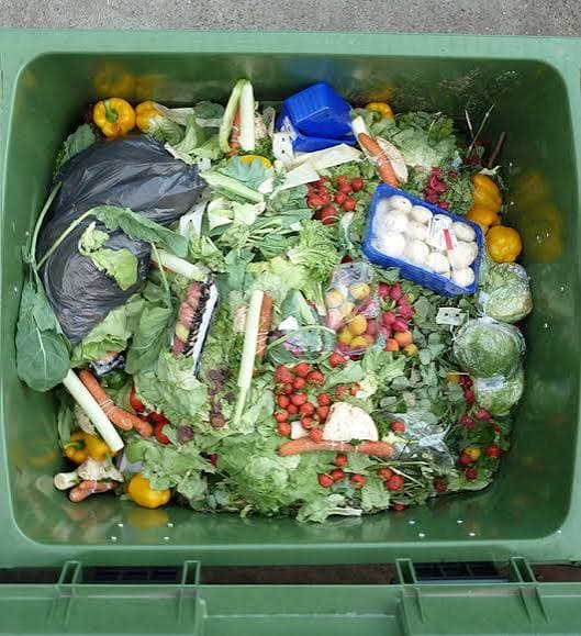 A green bin filled with discarded vegetables and food scraps